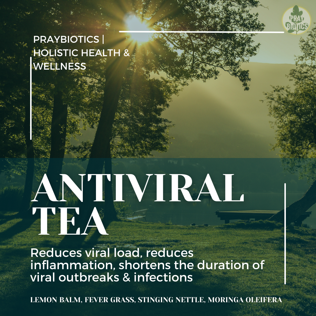 Antiviral Tea - Shortens Outbreaks & Reduces Virility, Inflammation, & Duration of Infections