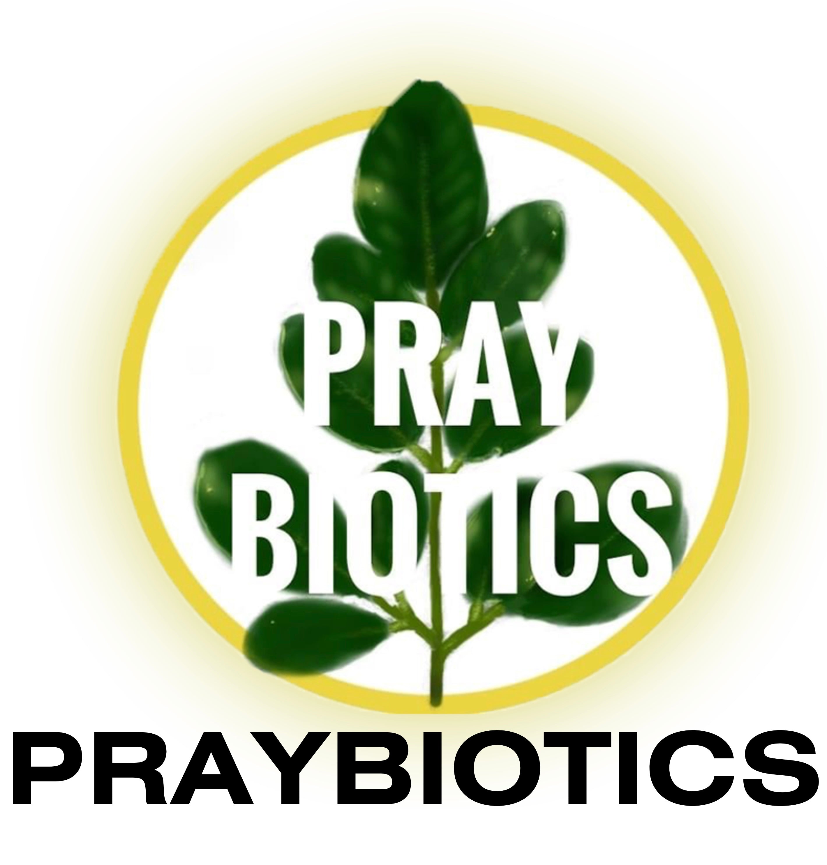 praybiotics.com logo