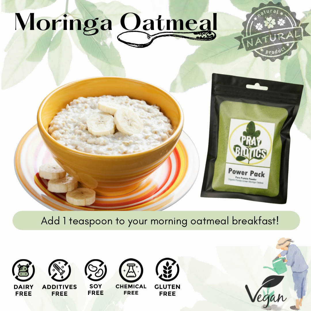 Protein Power Pack | Pure Moringa Powder