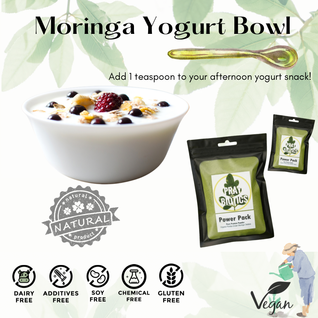 Protein Power Pack | Pure Moringa Powder