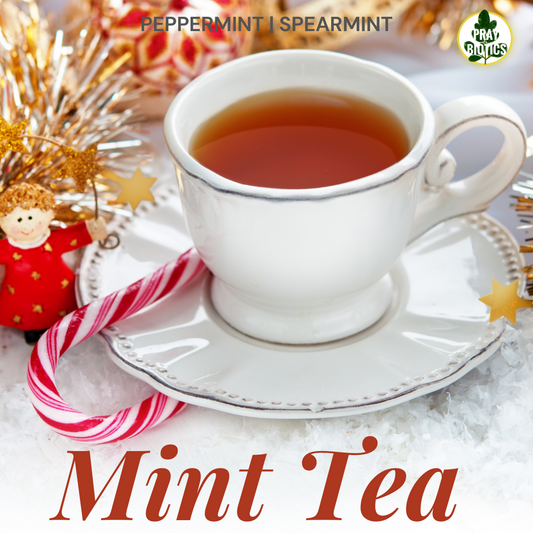 Holiday Mint Tea | Peppermint or Spearmint