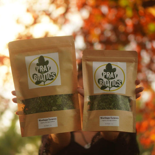 Organic Moringa Oleifera Leaves | Drumstick Tree Dried Whole Leaves