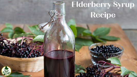 Elderberry Syrup Recipe | Hundreds Of Benefits, Easy To Make