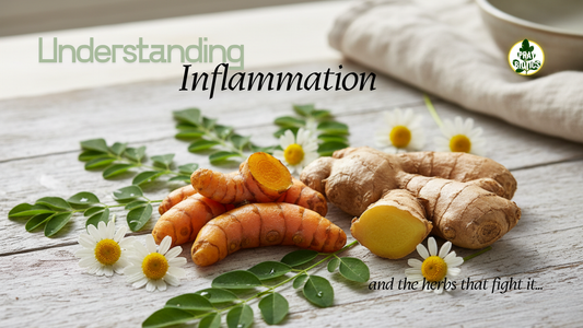 Understanding Inflammation & the Herbs That Fight It