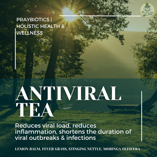 Antiviral Tea - Shortens Outbreaks & Reduces Virility, Inflammation, & Duration of Infections