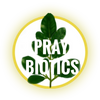 Praybiotics Holy Holistic Health Logo with Moringa Leaf And White Font Enclosed In A Yellow Circle Ring