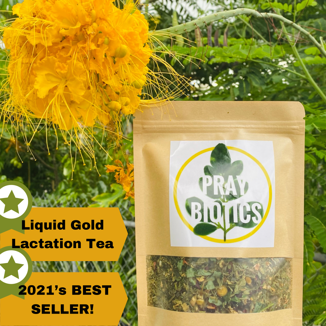 Tree of Life | Liquid Gold Lactation Tea