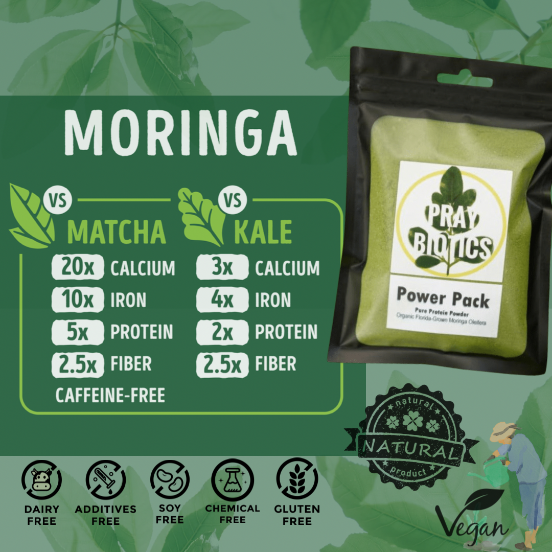 Protein Power Pack | Pure Moringa Powder