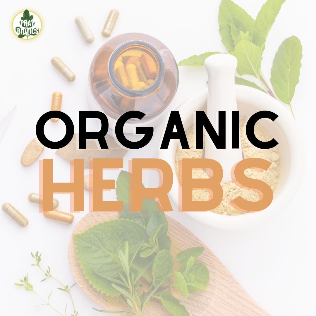 Organic Herbs (1oz)