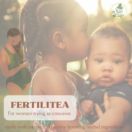 FertiliTEA TTC Blend - Ovulation Promoting Conception Tea