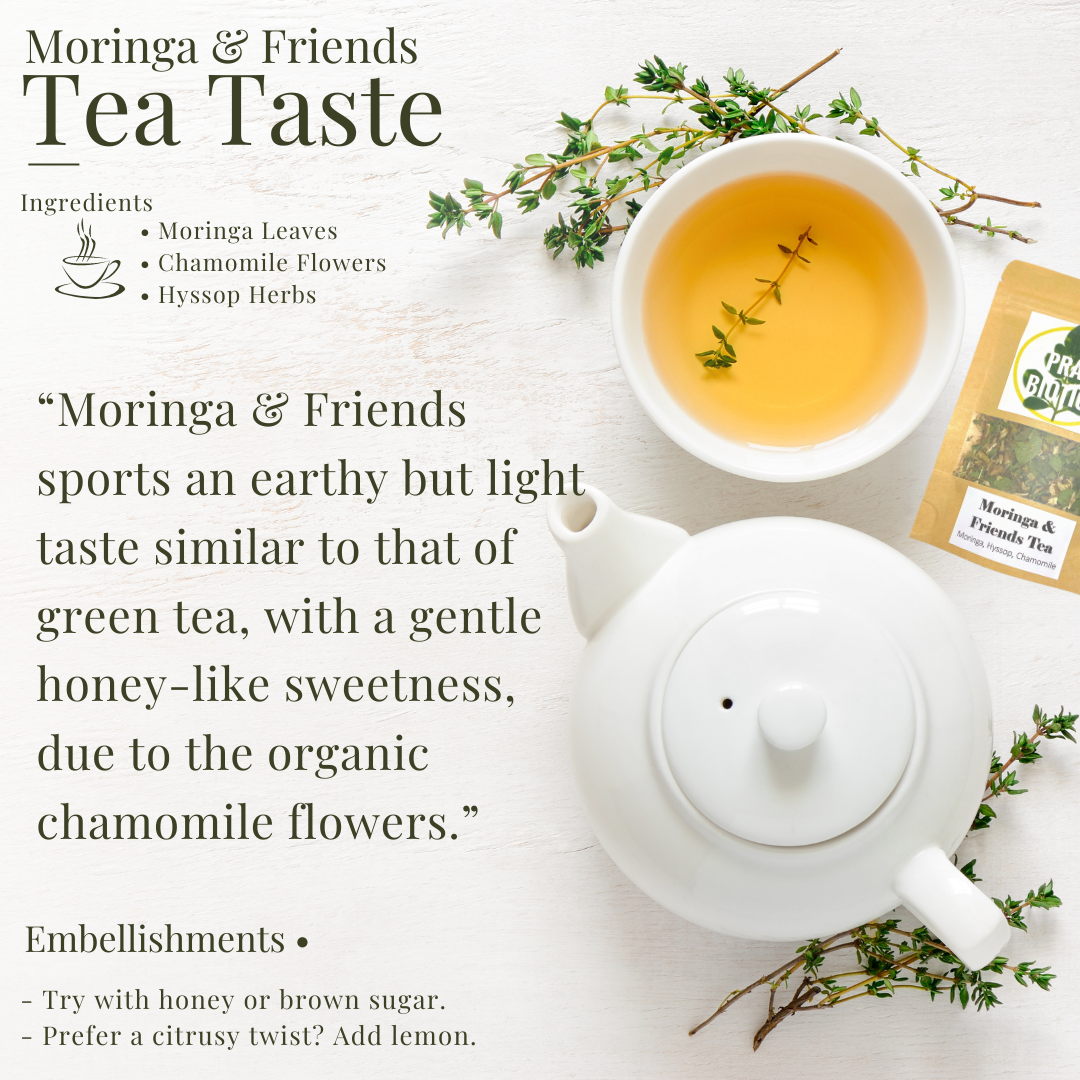 Moringa & Friends Specialty Tea