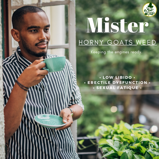 Horny Goat’s Weed “Mister” Tea | Low Libido, Fatigue & Sexual Dysfunction