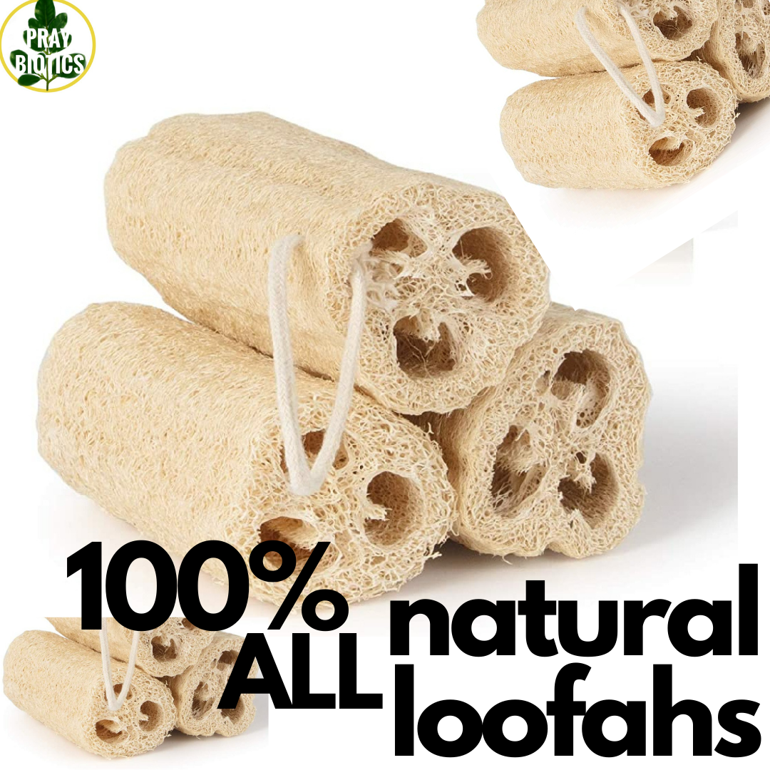 Organic Loofah Scrubs - 2pack - Reusable